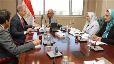 وزير الكهرباء يبحث مع شركة إماراتية زيادة الاستثمارات في مجالات الطاقة المتجددة