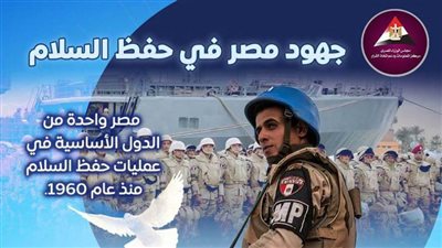 عاجل| بالفيديو والإنفوجراف.. خارطة طريق السلام بعيون مصرية 