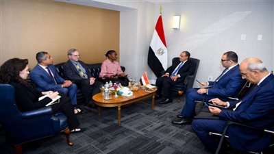 وزير الخارجية يشدد على حق الشعب الفلسطيني في البقاء على أرضه ورفض التهجير