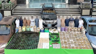 الداخلية تضبط بؤرًا إجرامية لتجارة المخدرات 