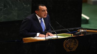 مصر تؤكد أمام مؤتمر 