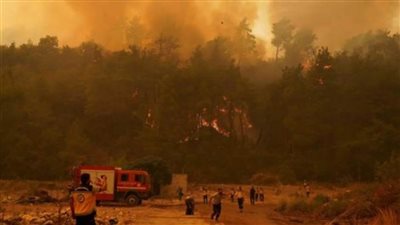 سوريا: السيطرة على 80% من بؤر النيران بحرائق جبل التركمان بريف اللاذقية