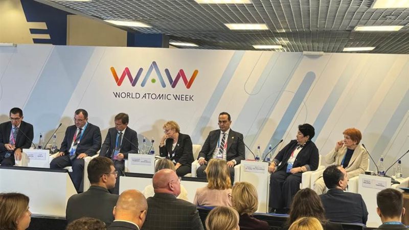 رئيس الرعاية الصحية