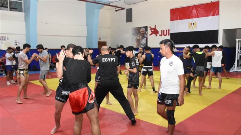 تعاون ثلاثي مصري