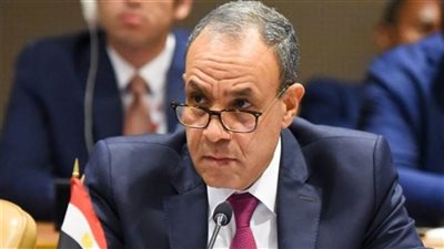 وزير الخارجية يؤكد موقف مصر الثابت بشأن ضرورة الحفاظ على وحدة سوريا وسلامة أراضيها