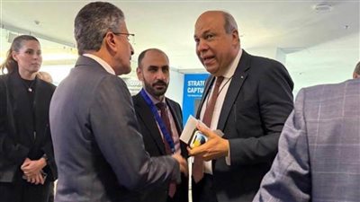 وزير الطيران: فوز مصر بعضوية 