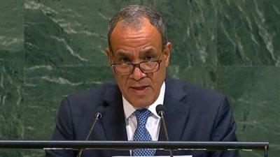 وزير الخارجية: لن تنعم إسرائيل بالأمن ما لم تنعم به دول المنطقة