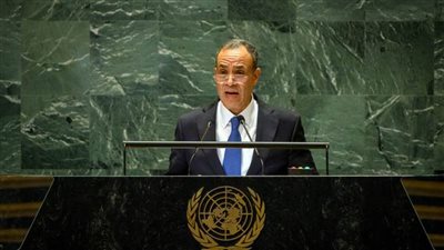 عاجل.. عبدالعاطي: إثيوبيا توهمت أن مصر ستنسى حقوقها الوجودية في نهر النيل