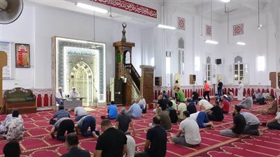 دار الإفتاء تواصل جهودها لمواجهة 