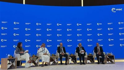 وزير الخارجية يؤكد ضرورة ضغط المجتمع الدولي على إسرائيل لنفاد المساعدات الإنسانية 