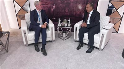 وزير الخارجية يشيد بالتنسيق المشترك بين مصر وألمانيا في مختلف القطاعات 