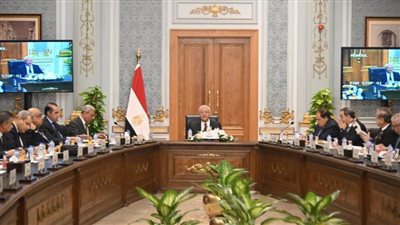 عاجل| وزير العدل: بدائل الحبس الاحتياطي في مشروع قانون الإجراءات الجنائية كافية