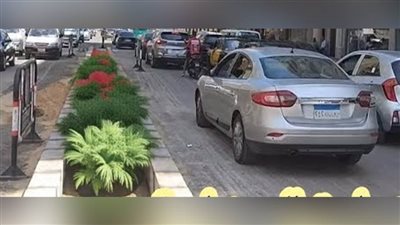 الإسكندرية تعيد زراعة الجزيرة الوسطى استكمالًا لتطوير طريق الحرية