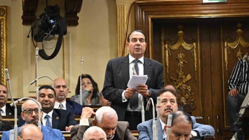 الجلسة العامة لمجلس