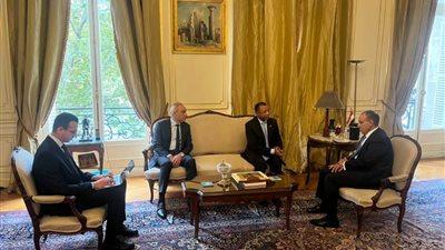 وزير الخارجية يشيد بدعم موزمبيق للمرشح الأفريقي والعربي د. خالد العناني لرئاسة اليونسكو