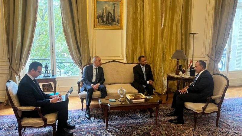 وزير الخارجية يلتقي