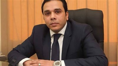 سمير فوزي: نجاح مصر في إنهاء حرب غزة يعكس حكمة الرئيس السيسي