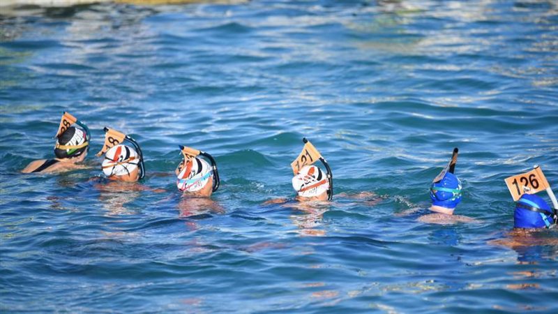 منتخب السباحة بالزعانف