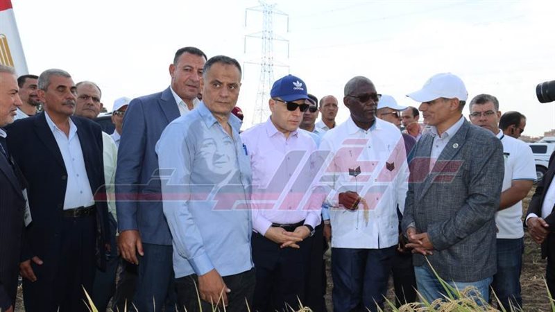 الجولة التفقدية