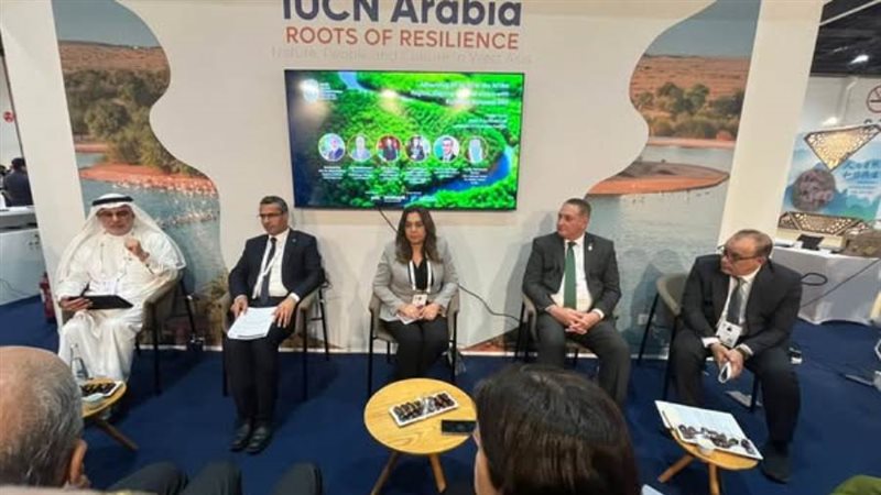 منال عوض خلال مشاركتها