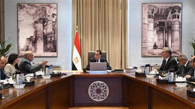 رئيس الوزراء يتابع الموقف التنفيذي لمشروعات الطاقات المتجددة