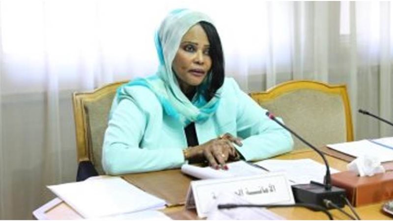 الوزير المفوض د.