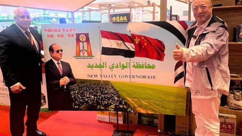 تمور الوادي الجديد