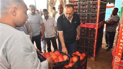 بالصور.. محافظ أسيوط يتابع منظومة تجهيز وتصدير 