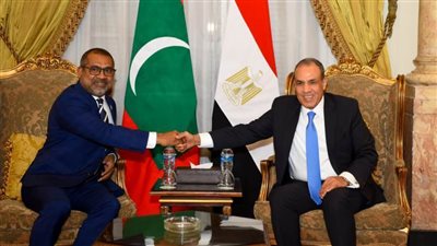 مشاورات سياسية بين وزيري خارجية مصر والمالديف