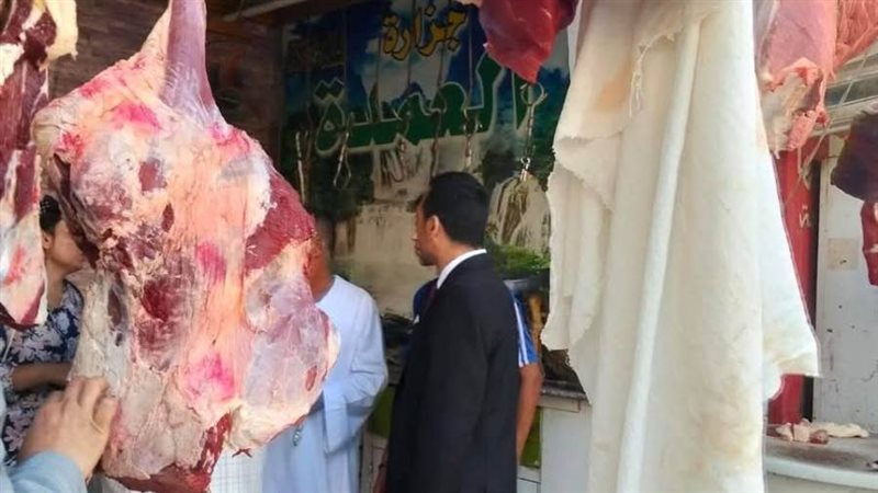 حملات تموينية متنوعة