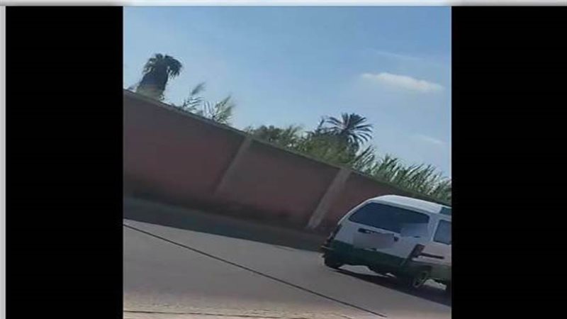 بوابة روز اليوسف