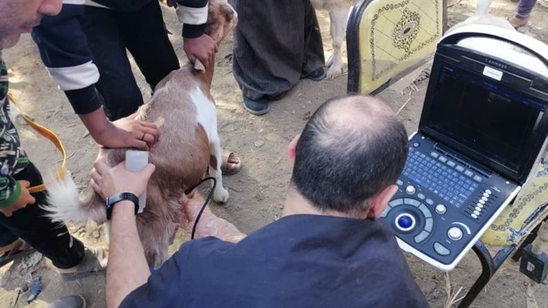 جانب من فعاليات القافلة