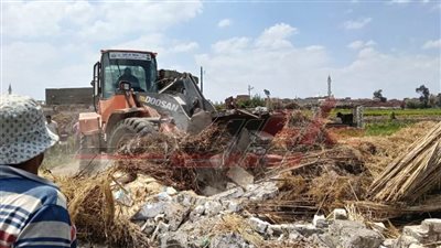 الموجة الـ27 تزيل 5 حالات تعدٍ على الأراضي الزراعية وأملاك الدولة بكفر الشيخ