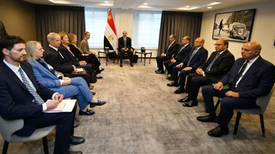 الرئيس السيسي يستقبل الممثلة العليا للاتحاد الأوروبي للشؤون الخارجية والسياسة الأمنية