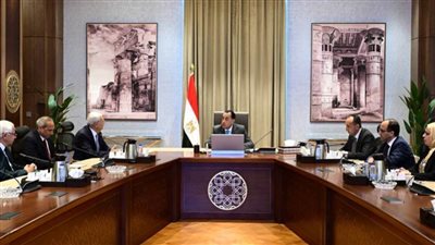 رئيس الوزراء يستعرض جهود وخطوات تحسين الخدمات المقدمة إلكترونيًا للمواطنين والمستثمرين