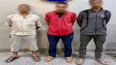 كشف ملابسات تداول فيديو بقيام عدة أشخاص بربط كلب بحبل من عنقه وسحله بالقليوبية