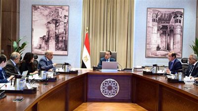 رئيس الوزراء يتابع الموقف التنفيذي والمالي لمشروع المحطة النووية بالضبعة