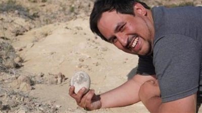 بالصور .. العثور على بيضة ديناصور  