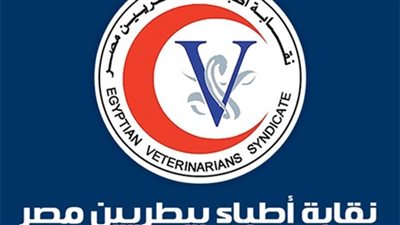  التشكيل الكامل لهيئة مكتب نقابة أطباء مصر