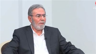 النخالة: مصر تبذل جهودا كبيرة من اجل تحقيق وقف دائم لإطلاق النار في غزة