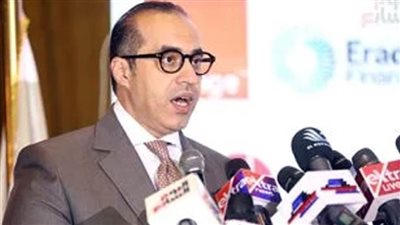 المستشار محمود فوزي: 