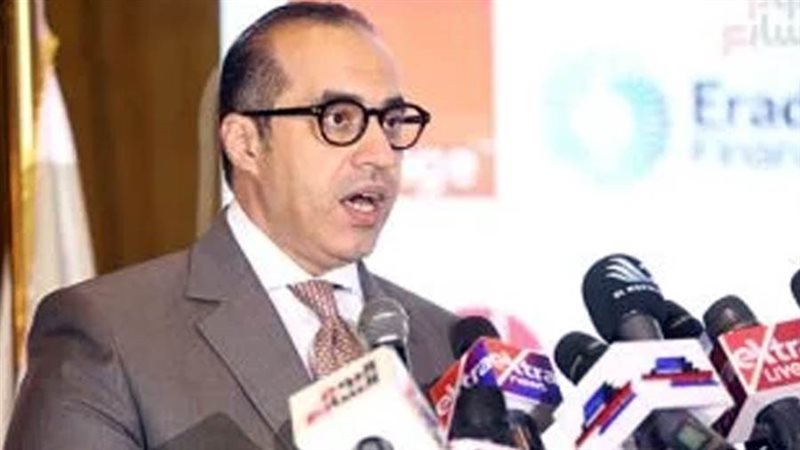 المستشار محمود فوزي