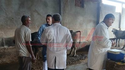 انطلاق الحملة القومية للتحصين ضد الحمى القلاعية والوادي المتصدع بكفر الشيخ