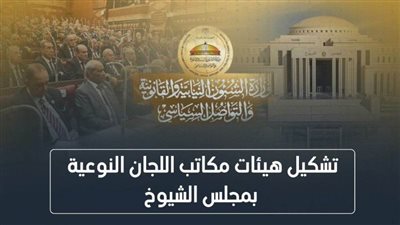 الإنفوجراف.. التشكيل الكامل لهيئات مكاتب اللجان النوعية بمجلس الشيوخ