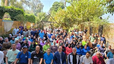 اتحاد الكرة الطائرة يضع خطة لتطوير منظومة التدريب في محافظات الصعيد