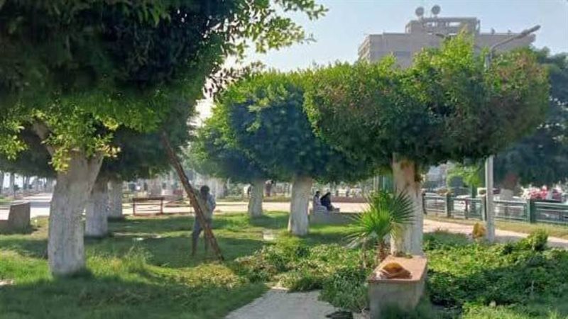 بوابة روز اليوسف