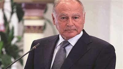 أبو الغيط: جهود إقليمية ودولية لمساعدة لبنان على تجاوز أزمته