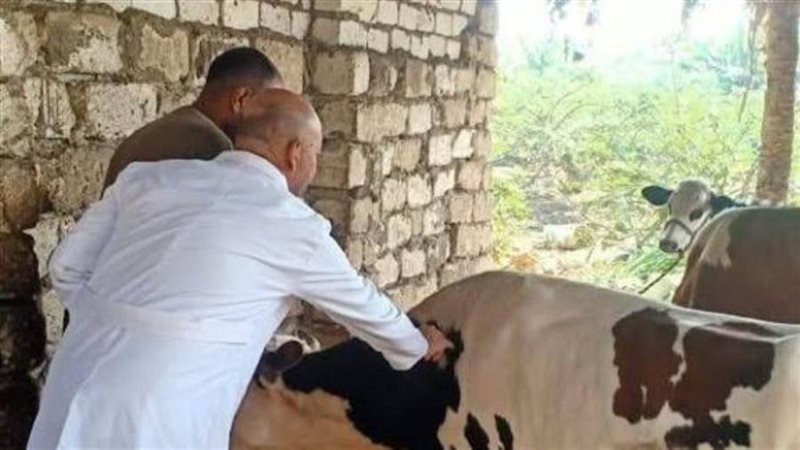 الحملة القومية لتحصين