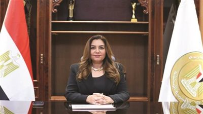 وزيرة التنمية المحلية تتلقى تقريرا حول دعم استعدادات محافظة الجيزة لاحتفالية المتحف المصري الكبير