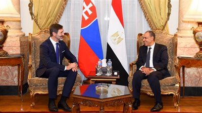 وزير الخارجية يلتقي نظيره السلوفاكي